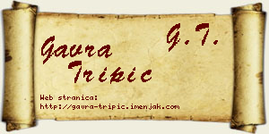 Gavra Tripić vizit kartica